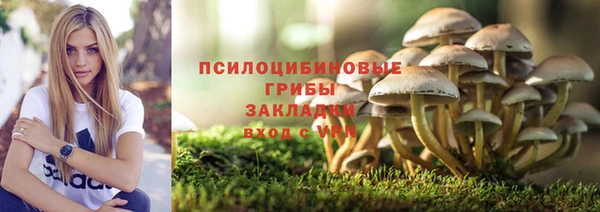 амф Мегион