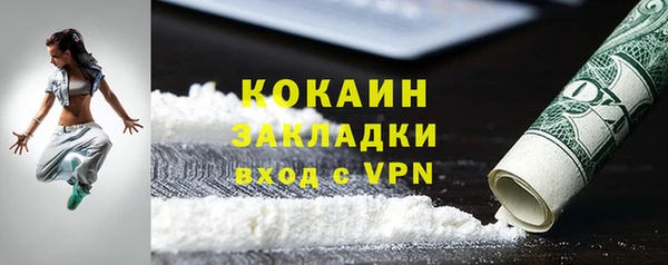 индика Медвежьегорск