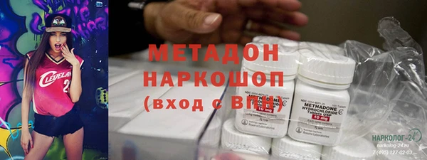индика Медвежьегорск