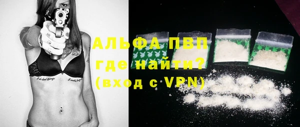 индика Медвежьегорск