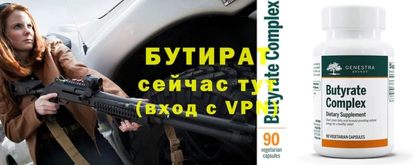 индика Медвежьегорск