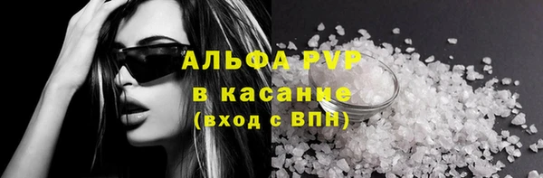 индика Медвежьегорск