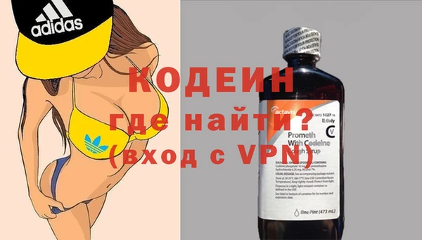индика Медвежьегорск