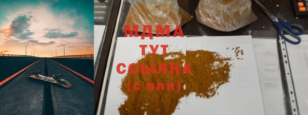 индика Медвежьегорск