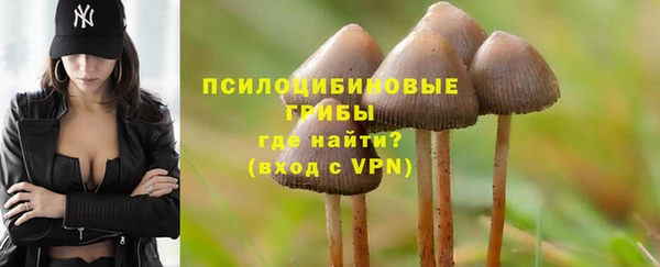прущие крисы Магас