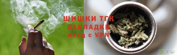 индика Медвежьегорск