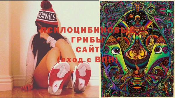 амф Мегион