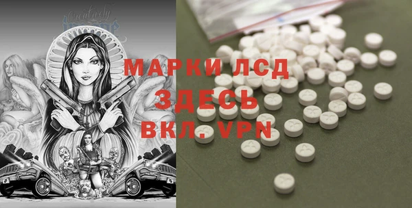 индика Медвежьегорск