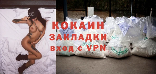 индика Медвежьегорск