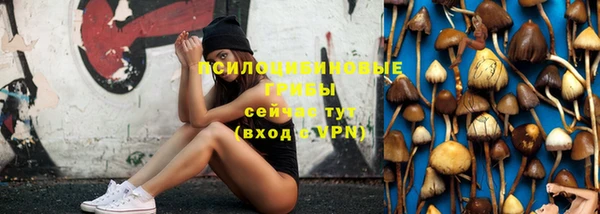 амф Мегион