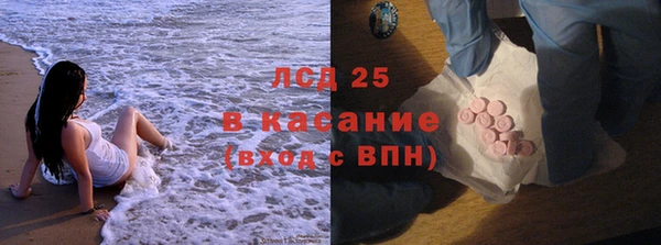 индика Медвежьегорск