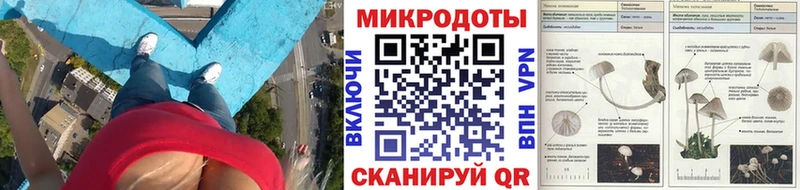 Галлюциногенные грибы Psilocybe Кировск