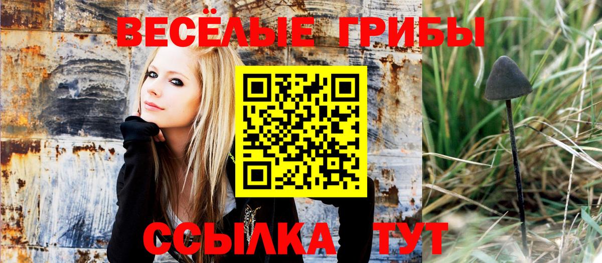 ГАШ  Канабис  АМФЕТАМИН   КОКАИН  Кировск  Мефедрон   Вход с VPN 