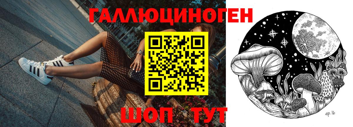 Псилоцибиновые грибы прущие грибы  Псилоцибиновые грибы GOLDEN TEACHER  Кировск  Вход с VPN 